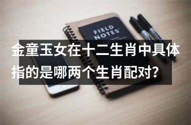 金童玉女在十二生肖中具体指的是哪两个生肖配对?