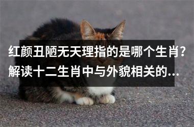 <h3>红颜丑陋无天理指的是哪个生肖?解读十二生肖中与外貌相关的民间说法