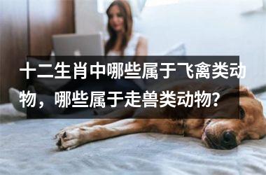 <h3>十二生肖中哪些属于飞禽类动物，哪些属于走兽类动物？