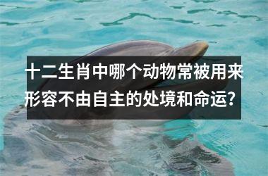 <h3>十二生肖中哪个动物常被用来形容不由自主的处境和命运？