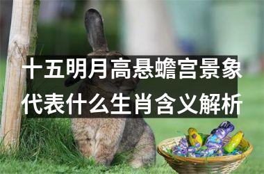 <h3>十五明月高悬蟾宫景象代表什么生肖含义解析