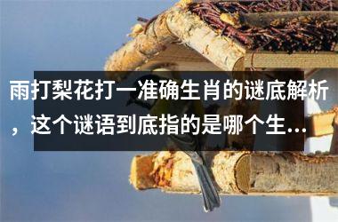 <h3>雨打梨花打一准确生肖的谜底解析，这个谜语到底指的是哪个生肖动物？