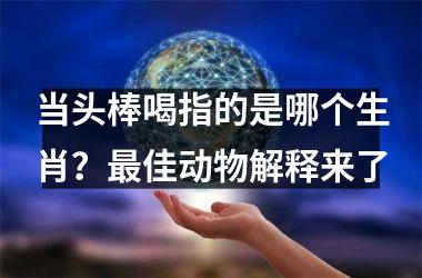 <h3>当头棒喝指的是哪个生肖？最佳动物解释来了