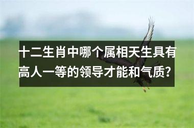 <h3>十二生肖中哪个属相天生具有高人一等的领导才能和气质？