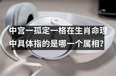<h3>中宫一孤定一格在生肖命理中具体指的是哪一个属相？