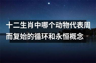 十二生肖中哪个动物代表周而复始的循环和永恒概念