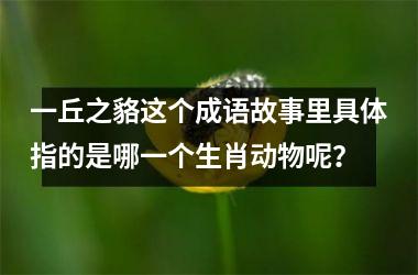 <h3>一丘之貉这个成语故事里具体指的是哪一个生肖动物呢？