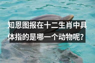 知恩图报在十二生肖中具体指的是哪一个动物呢？