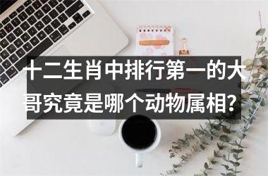<h3>十二生肖中排行第一的大哥究竟是哪个动物属相？