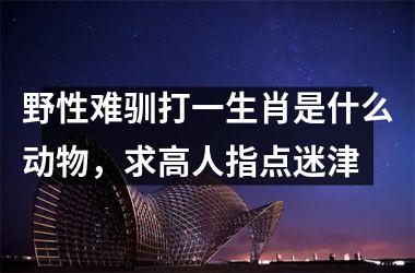 <h3>野性难驯打一生肖是什么动物,求高人指点迷津