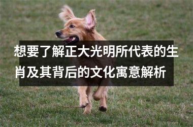 <h3>想要了解正大光明所代表的生肖及其背后的文化寓意解析