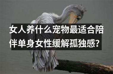 <h3>女人养什么宠物最适合陪伴单身女性缓解孤独感?