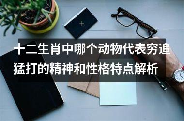 <h3>十二生肖中哪个动物代表穷追猛打的精神和性格特点解析