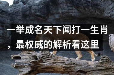 <h3>一举成名天下闻打一生肖，最权威的解析看这里