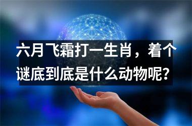<h3>六月飞霜打一生肖，着个谜底到底是什么动物呢？