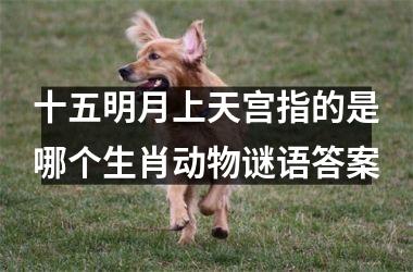 <h3>十五明月上天宫指的是哪个生肖动物谜语答案