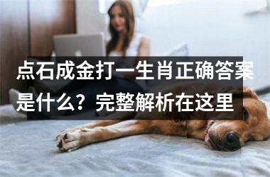 <h3>点石成金打一生肖正确答案是什么？完整解析在这里
