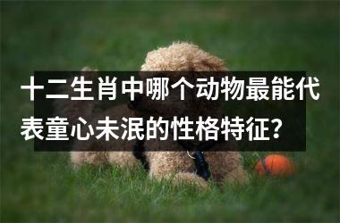 <h3>十二生肖中哪个动物最能代表童心未泯的性格特征？