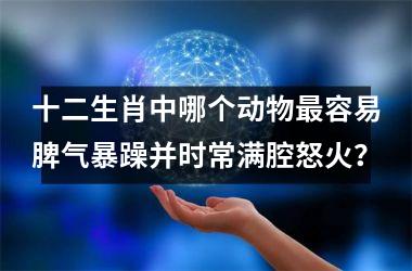 <h3>十二生肖中哪个动物最容易脾气暴躁并时常满腔怒火？