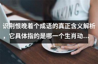 <h3>识荆恨晚着个成语的真正含义解析，它具体指的是哪一个生肖动物呢？