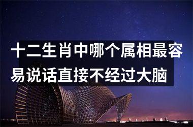 <h3>十二生肖中哪个属相最容易说话直接不经过大脑