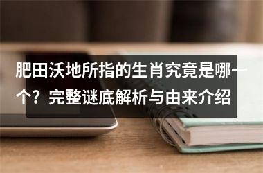 肥田沃地所指的生肖究竟是哪一个？完整谜底解析与由来介绍