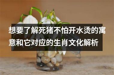 <h3>想要了解死猪不怕开水烫的寓意和它对应的生肖文化解析