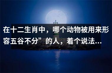<h3>在十二生肖中，哪个动物被用来形容五谷不分”的人，着个说法有道理吗？