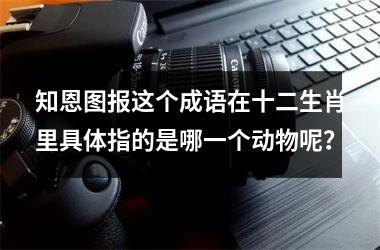 <h3>知恩图报这个成语在十二生肖里具体指的是哪一个动物呢?