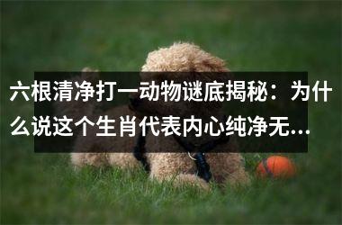 <h3>六根清净打一动物谜底揭秘：为什么说这个生肖代表内心纯净无杂念？
