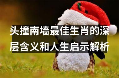 头撞南墙最佳生肖的深层含义和人生启示解析