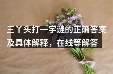 <h3>三丫头打一字谜的正确答案及具体解释，在线等解答