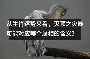 从生肖运势来看，灭顶之灾最可能对应哪个属相的含义？