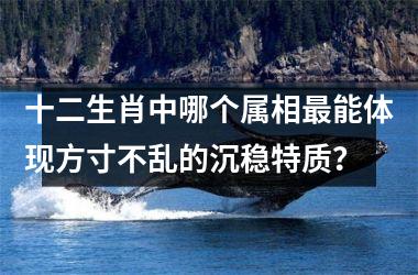 <h3>十二生肖中哪个属相最能体现方寸不乱的沉稳特质？
