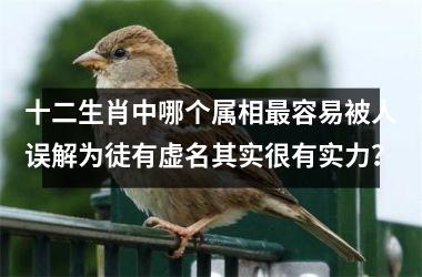 <h3>十二生肖中哪个属相最容易被人误解为徒有虚名其实很有实力？