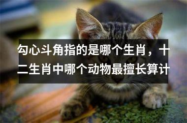 <h3>勾心斗角指的是哪个生肖，十二生肖中哪个动物最擅长算计