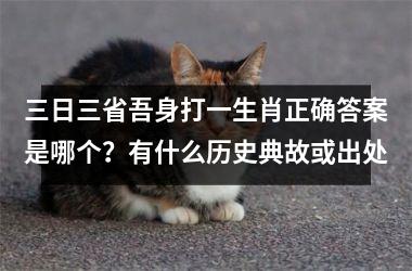 <h3>三日三省吾身打一生肖正确答案是哪个？有什么历史典故或出处