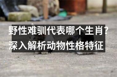 <h3>野性难驯代表哪个生肖？深入解析动物性格特征