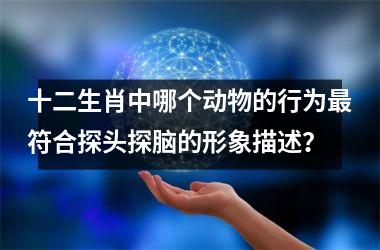 <h3>十二生肖中哪个动物的行为最符合探头探脑的形象描述？
