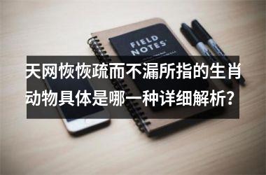 天网恢恢疏而不漏所指的生肖动物具体是哪一种详细解析？