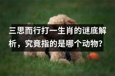 <h3>三思而行打一生肖的谜底解析，究竟指的是哪个动物？