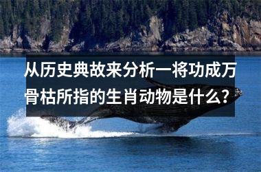 <h3>从历史典故来分析一将功成万骨枯所指的生肖动物是什么？