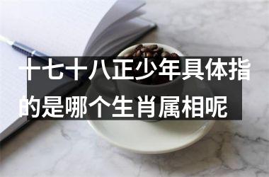 <h3>十七十八正少年具体指的是哪个生肖属相呢
