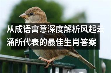 <h3>从成语寓意深度解析风起云涌所代表的最佳生肖答案