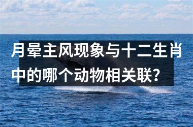 <h3>月晕主风现象与十二生肖中的哪个动物相关联？