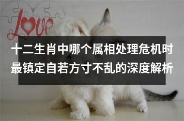 <h3>十二生肖中哪个属相处理危机时最镇定自若方寸不乱的深度解析