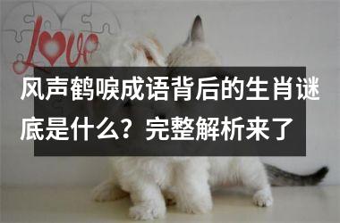 风声鹤唳成语背后的生肖谜底是什么？完整解析来了