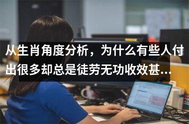 <h3>从生肖角度分析，为什么有些人付出很多却总是徒劳无功收效甚微？