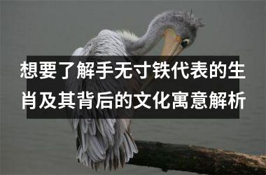 <h3>想要了解手无寸铁代表的生肖及其背后的文化寓意解析
