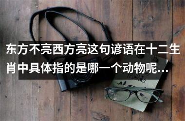 <h3>东方不亮西方亮这句谚语在十二生肖中具体指的是哪一个动物呢？